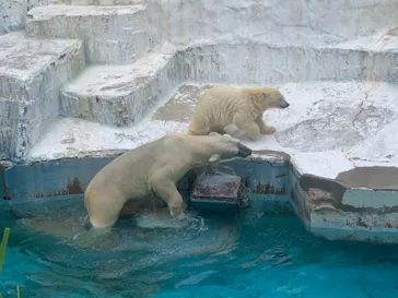 天王寺動物園に投稿された画像（2021/7/4）