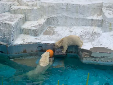 天王寺動物園に投稿された画像（2021/7/4）