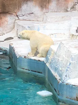 天王寺動物園に投稿された画像（2021/7/4）