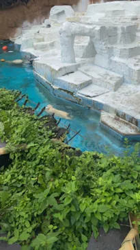 天王寺動物園に投稿された画像（2021/7/4）