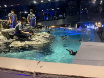 すみだ水族館に投稿された画像（2021/7/4）