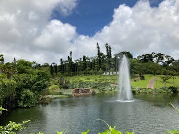 美らヤシパークオキナワ・東南植物楽園に投稿された画像（2021/7/4）