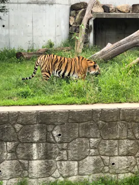 天王寺動物園に投稿された画像（2021/7/4）