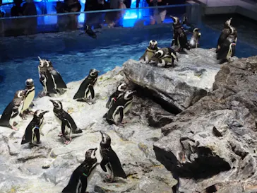 すみだ水族館に投稿された画像（2021/7/4）