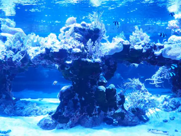 すみだ水族館に投稿された画像（2021/7/4）