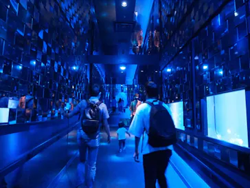 すみだ水族館に投稿された画像（2021/7/4）