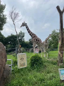 天王寺動物園に投稿された画像（2021/7/4）