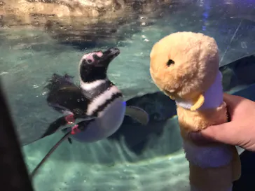 すみだ水族館に投稿された画像（2021/7/4）