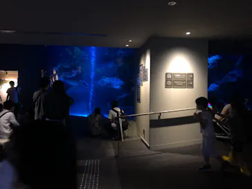 すみだ水族館に投稿された画像（2021/7/4）