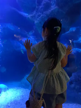 すみだ水族館に投稿された画像（2021/7/4）