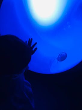 サンシャイン水族館に投稿された画像（2021/7/4）