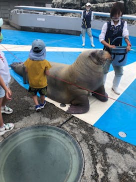 大分マリーンパレス水族館 「うみたまご」に投稿された画像（2021/7/4）