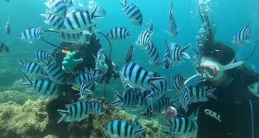 青の洞窟専門店　沖縄ダイビングショップ和に投稿された画像（2021/7/4）