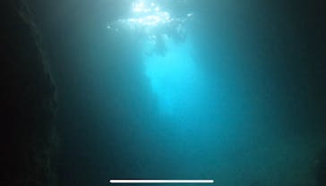 青の洞窟専門店　沖縄ダイビングショップ和に投稿された画像（2021/7/4）