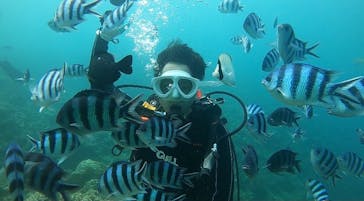 青の洞窟専門店　沖縄ダイビングショップ和に投稿された画像（2021/7/4）