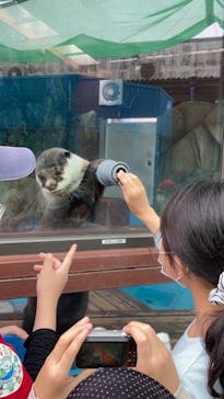 ゼロ距離水族館 伊勢シーパラダイスに投稿された画像（2021/7/4）
