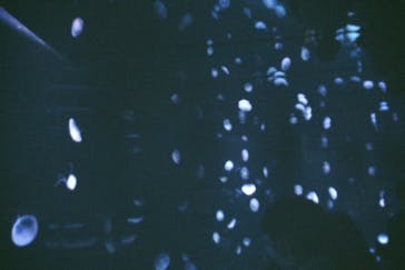 サンシャイン水族館に投稿された画像（2021/7/4）