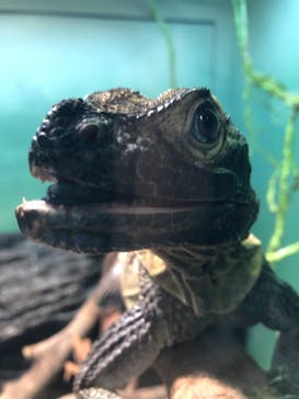 サンシャイン水族館に投稿された画像（2021/7/4）