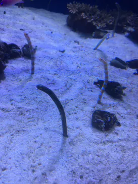 横浜・八景島シーパラダイスに投稿された画像（2021/7/4）