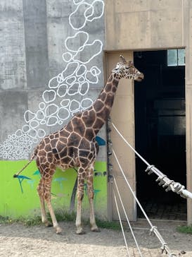 旭川市旭山動物園に投稿された画像（2021/7/4）