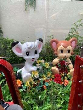 西武園ゆうえんちに投稿された画像（2021/7/5）