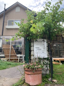 イドアートジュエリーに投稿された画像（2021/7/5）