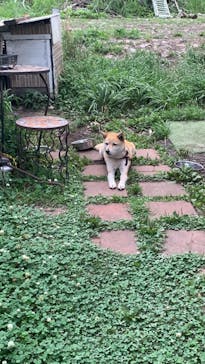 イドアートジュエリーに投稿された画像（2021/7/5）