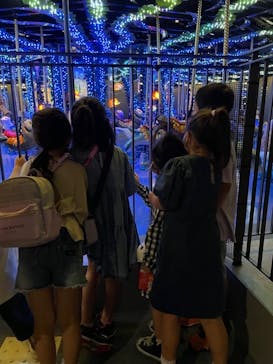 マクセル アクアパーク品川に投稿された画像（2021/7/5）