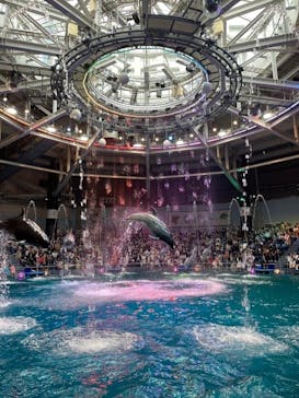 マクセル アクアパーク品川に投稿された画像（2021/7/5）