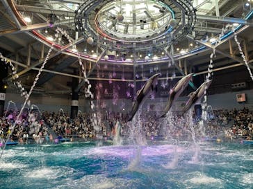 マクセル アクアパーク品川に投稿された画像（2021/7/5）