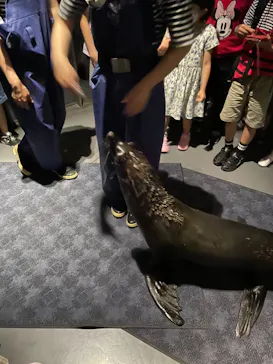 すみだ水族館に投稿された画像（2021/7/5）
