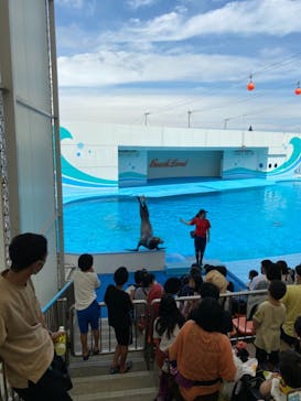 南知多ビーチランド＆南知多おもちゃ王国に投稿された画像（2021/7/5）