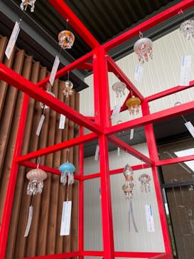 京都水族館に投稿された画像（2021/7/5）