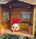 ナゴパイナップルパークに投稿された画像（2021/7/5）