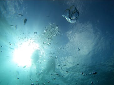 青の洞窟専門店　沖縄ダイビングショップ和に投稿された画像（2021/7/5）