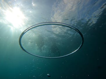 青の洞窟専門店　沖縄ダイビングショップ和に投稿された画像（2021/7/5）