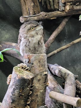 那須どうぶつ王国に投稿された画像（2021/7/5）