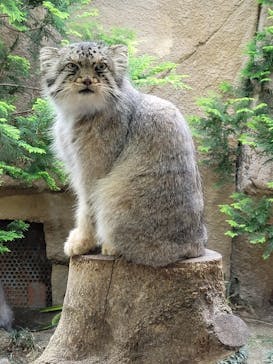 那須どうぶつ王国に投稿された画像（2021/7/5）