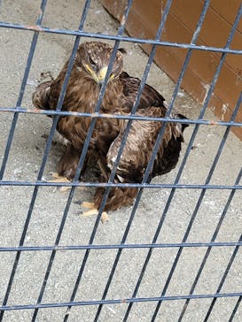 那須どうぶつ王国に投稿された画像（2021/7/5）