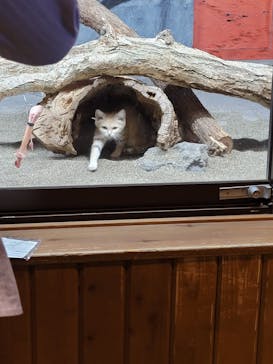 那須どうぶつ王国に投稿された画像（2021/7/5）