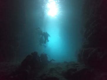 武藤潜水に投稿された画像（2021/7/6）