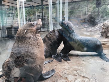 鳥羽水族館に投稿された画像（2021/7/7）