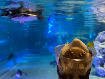 すみだ水族館に投稿された画像（2021/7/7）