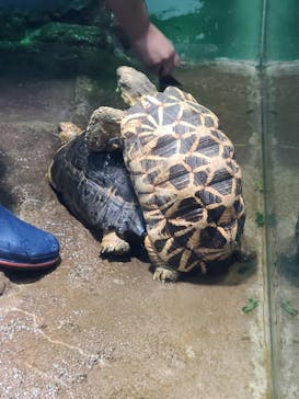 サンシャイン水族館に投稿された画像（2021/7/7）