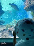 サンシャイン水族館に投稿された画像（2021/7/7）