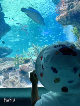 サンシャイン水族館に投稿された画像（2021/7/7）