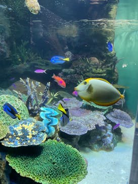 サンシャイン水族館に投稿された画像（2021/7/7）