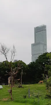 天王寺動物園に投稿された画像（2021/7/7）