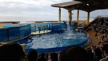 新江ノ島水族館に投稿された画像（2021/7/7）