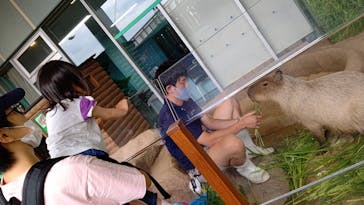 新江ノ島水族館に投稿された画像（2021/7/7）